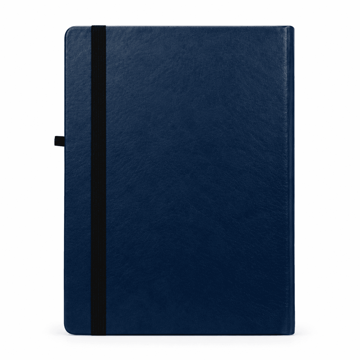 Glimmer Notebook with Elastic, image 2